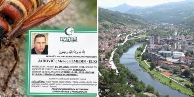 PRIBOJ ZAVIJEN U CRNO: DVIJE TRAGEDIJE NAKON UJEDA INSEKATA ODNijELE ŽIVOTE MLADIH LJUDI