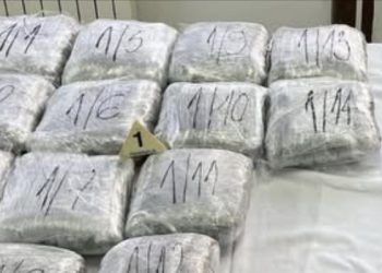NOGOMETAŠ UHAPŠEN S 14 KILOGRAMA MARIHUANE, RODITELJI MU POLICAJCI