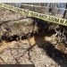 U OKOLINI BRATUNCA PRONAĐENI POSMRTNI OSTACI: Sumnja se da PRIPADAJU ŽRTVAMA GENOCIDA U SREBRENICI